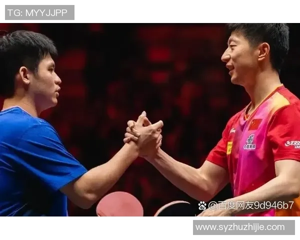 杭州乒乓球队在个人能力排行榜中荣登第七名展现出强劲实力与潜力