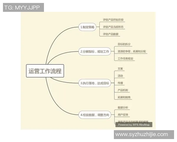 深入分析成都飞盘队的运营策略与发展模式探讨 深入分析成都飞盘队的运营策略与发展模式探讨
