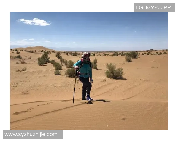 深度探讨周芳在王者荣耀中的成长与挑战之路